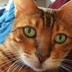 Meet your Posher, Sherry